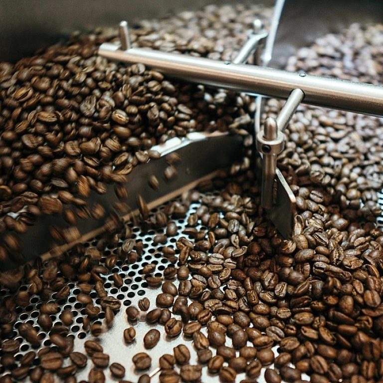 Optimisation de la chaîne de valeur des grains de café